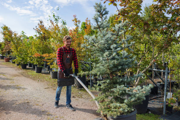 Best Tree Trimming and Pruning  in Delta Junction, AK